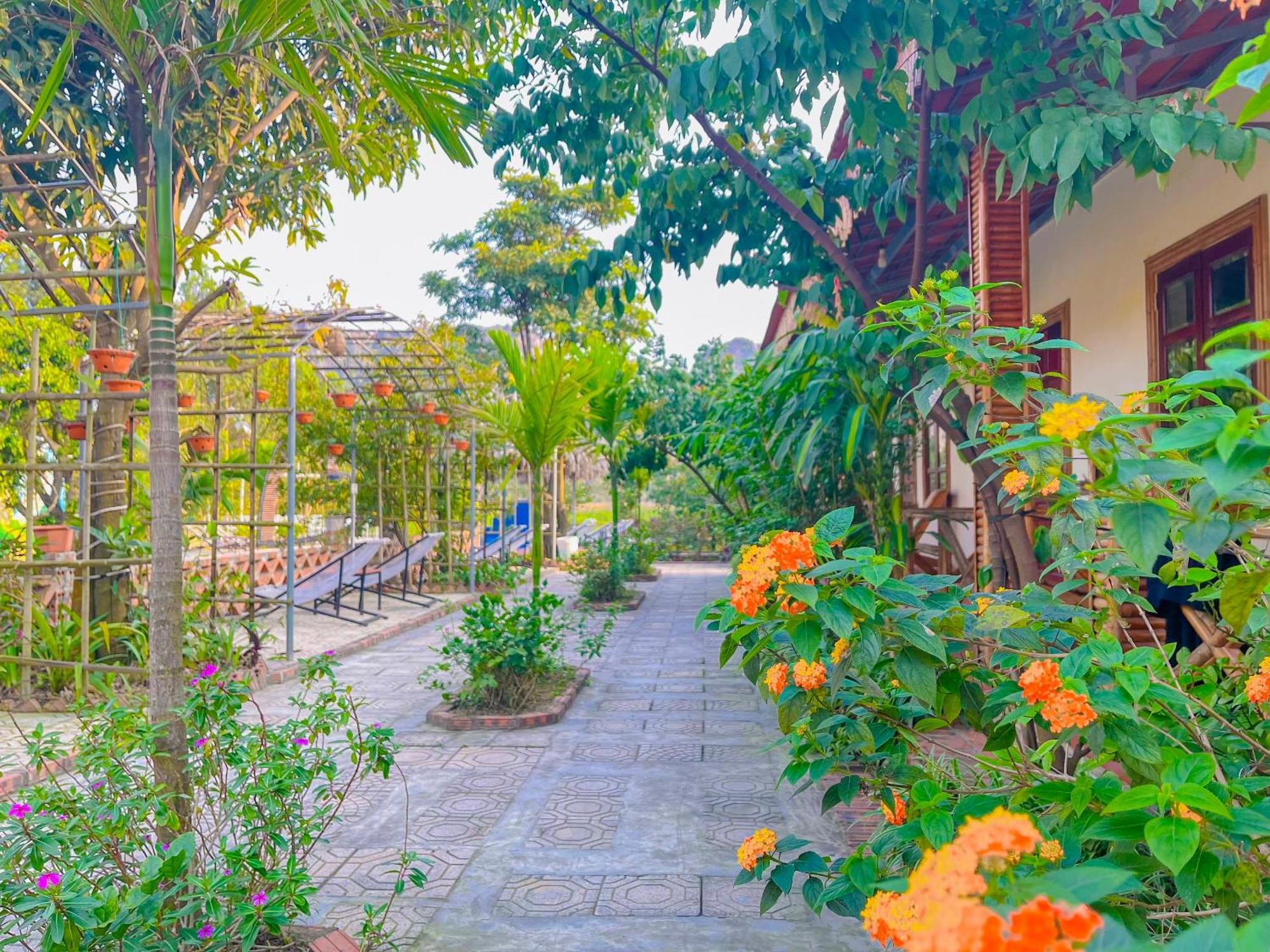Trang An Quynh Trang Happy Homestay & Garden Ninh Binh Esterno foto