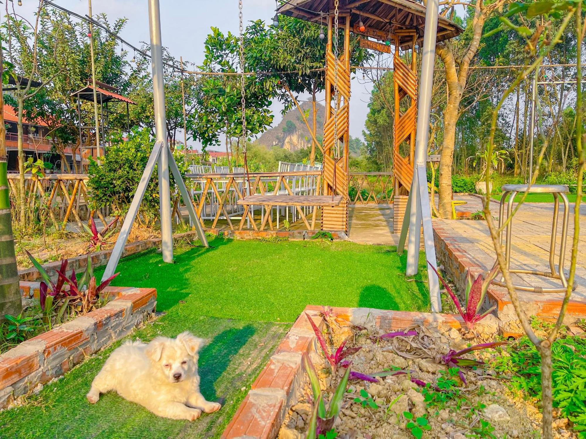 Trang An Quynh Trang Happy Homestay & Garden Ninh Binh Esterno foto