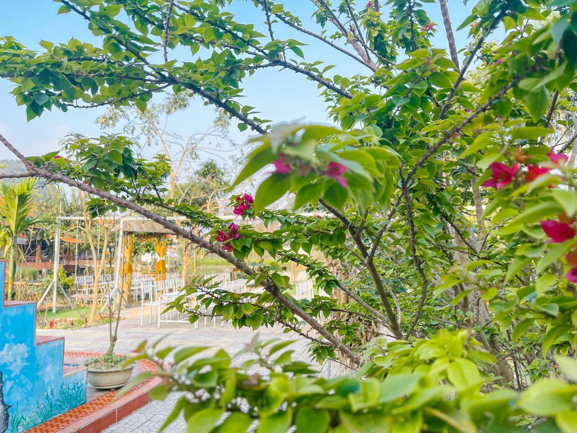 Trang An Quynh Trang Happy Homestay & Garden Ninh Binh Esterno foto