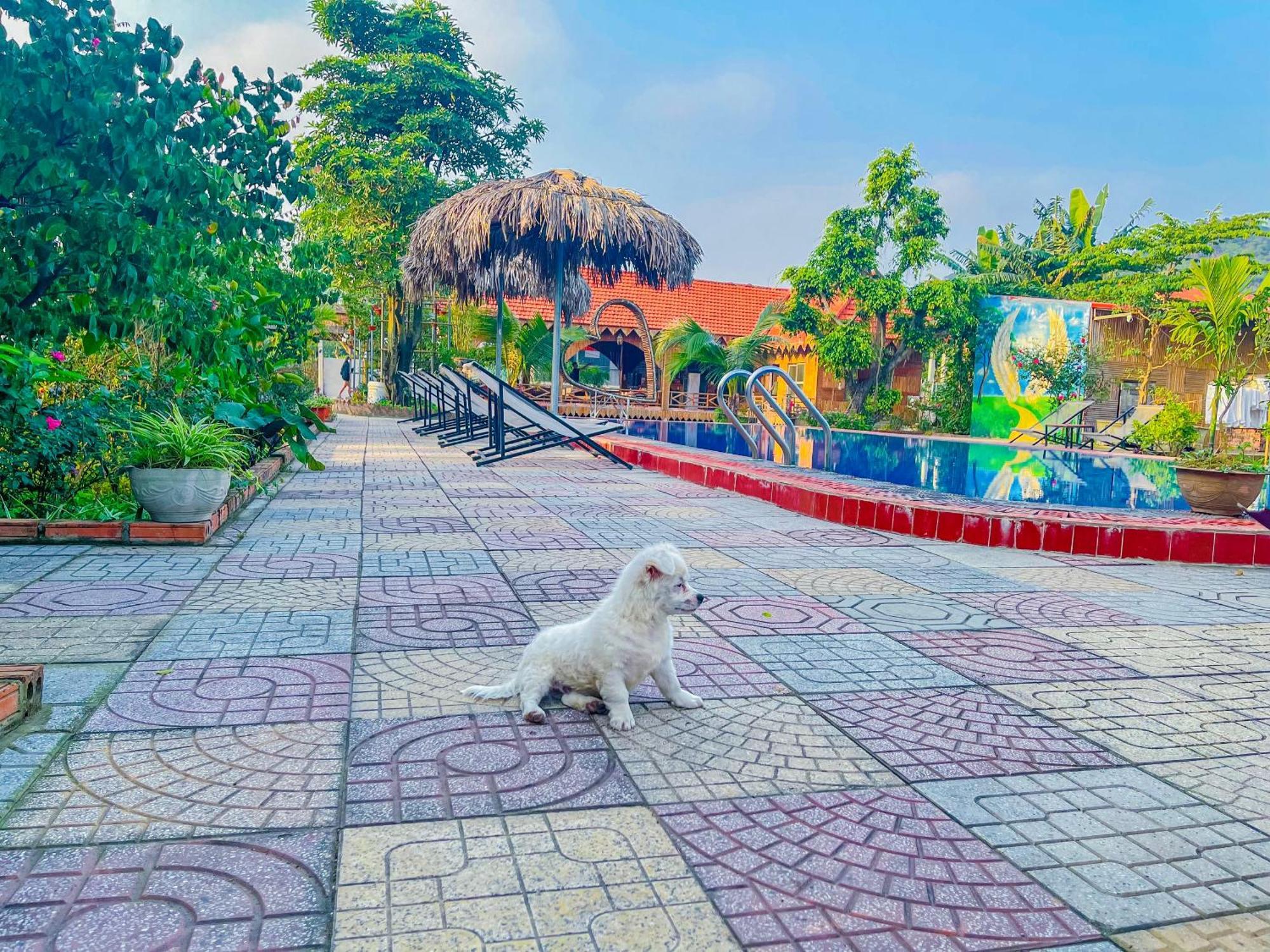 Trang An Quynh Trang Happy Homestay & Garden Ninh Binh Esterno foto