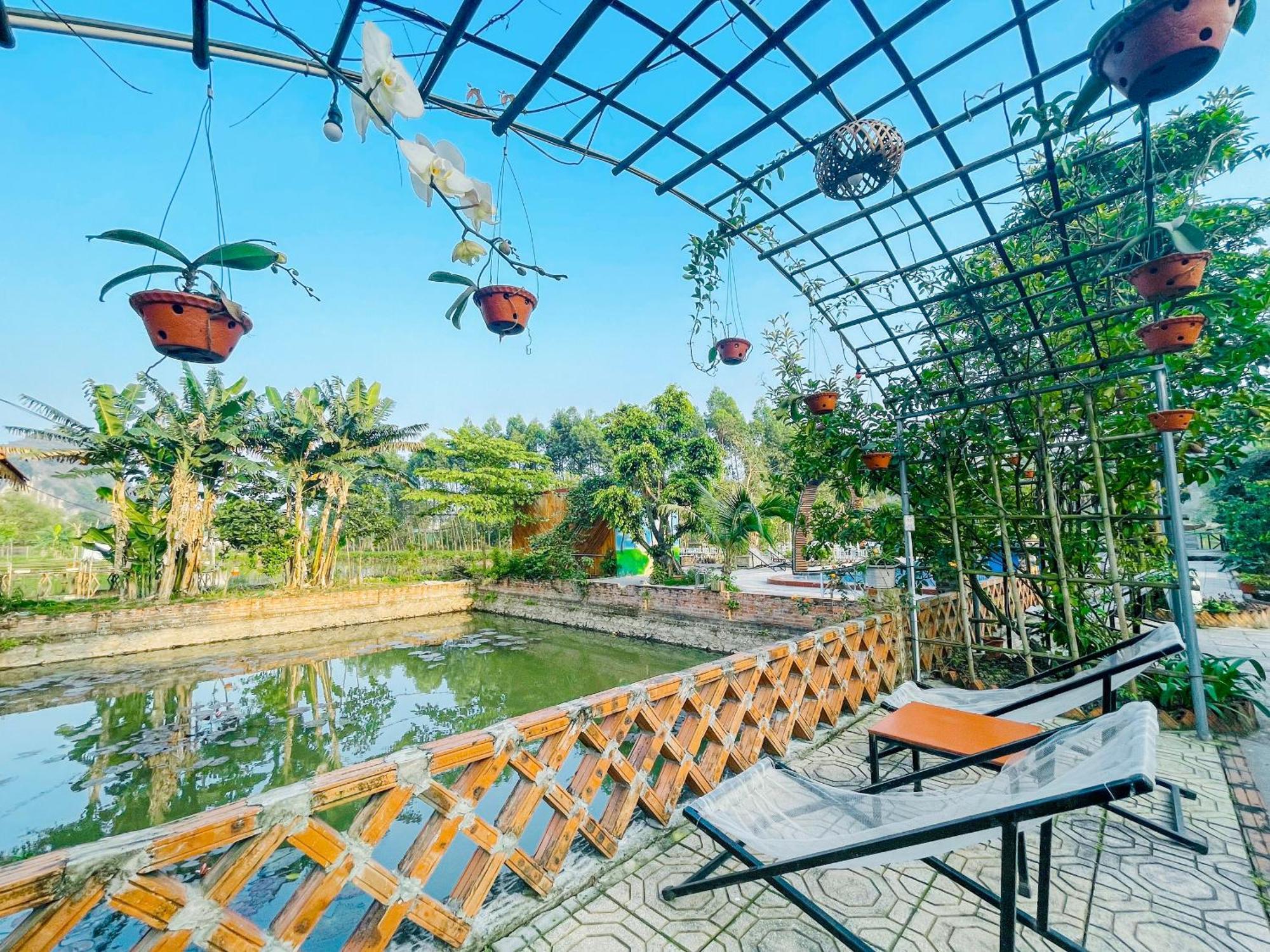 Trang An Quynh Trang Happy Homestay & Garden Ninh Binh Esterno foto